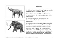 Fehlerlesen-Elefanten-Lesetext-SW-1-6.pdf